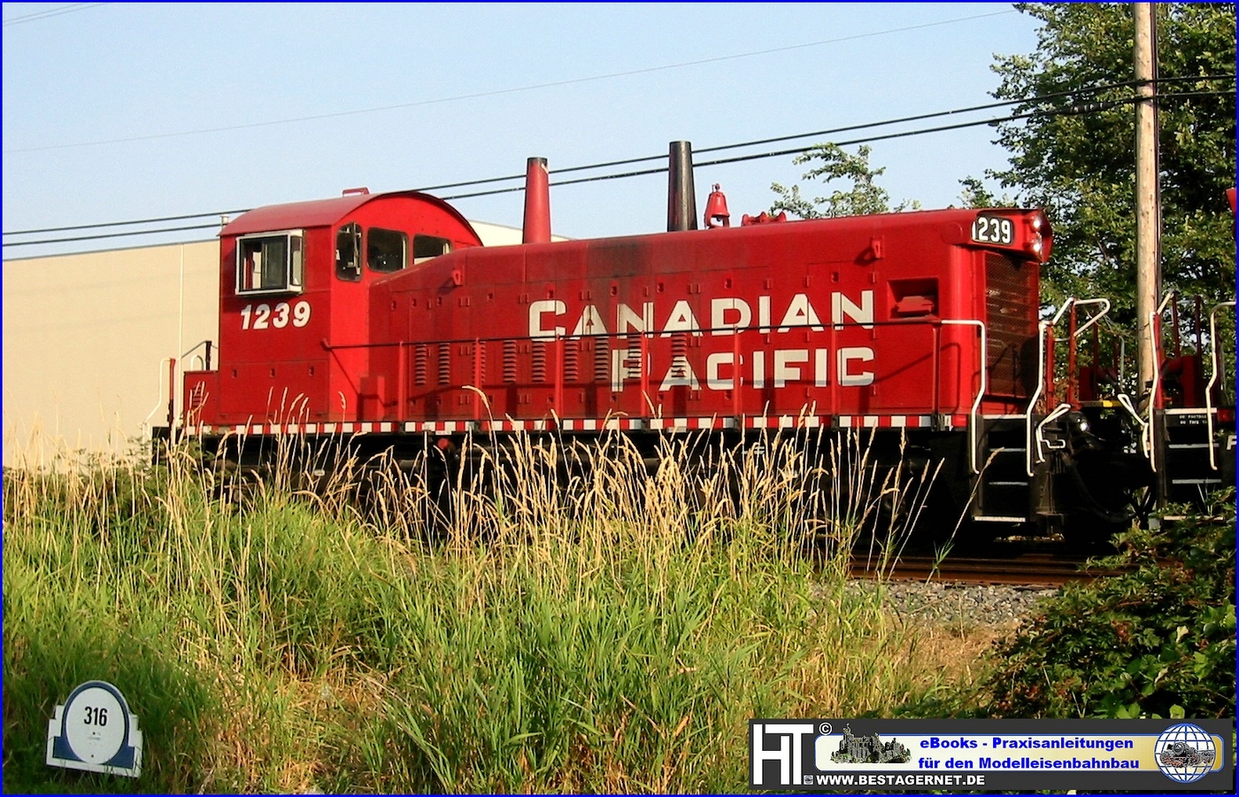Canadian Pacific 1239